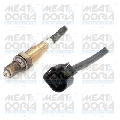 Oxygen Sensor